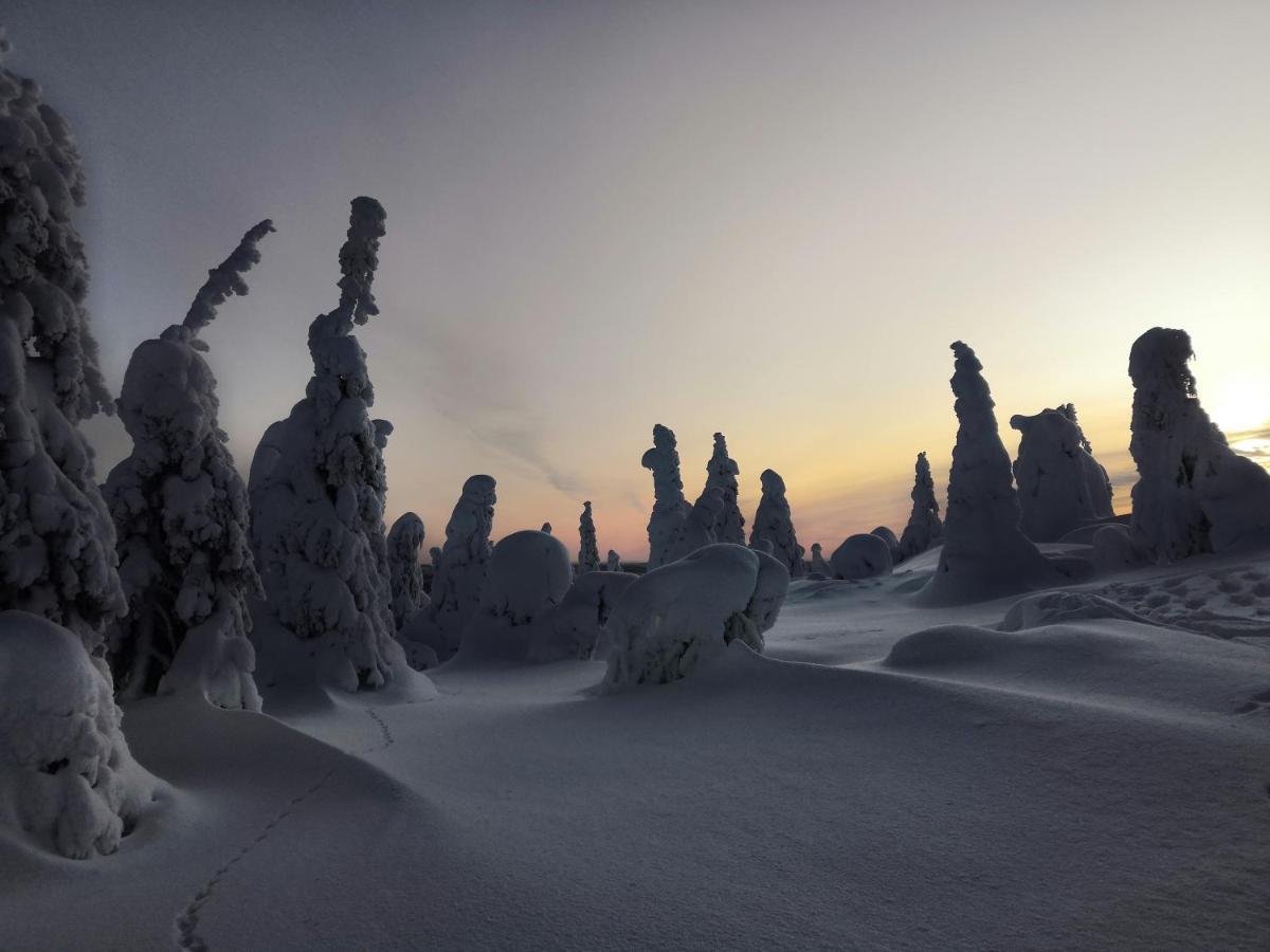 Kelokallas 2 Ruka Bagian luar foto