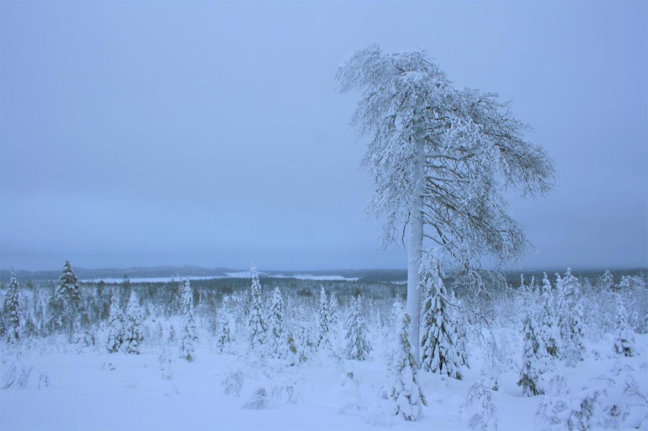 Kelokallas 2 Ruka Bagian luar foto