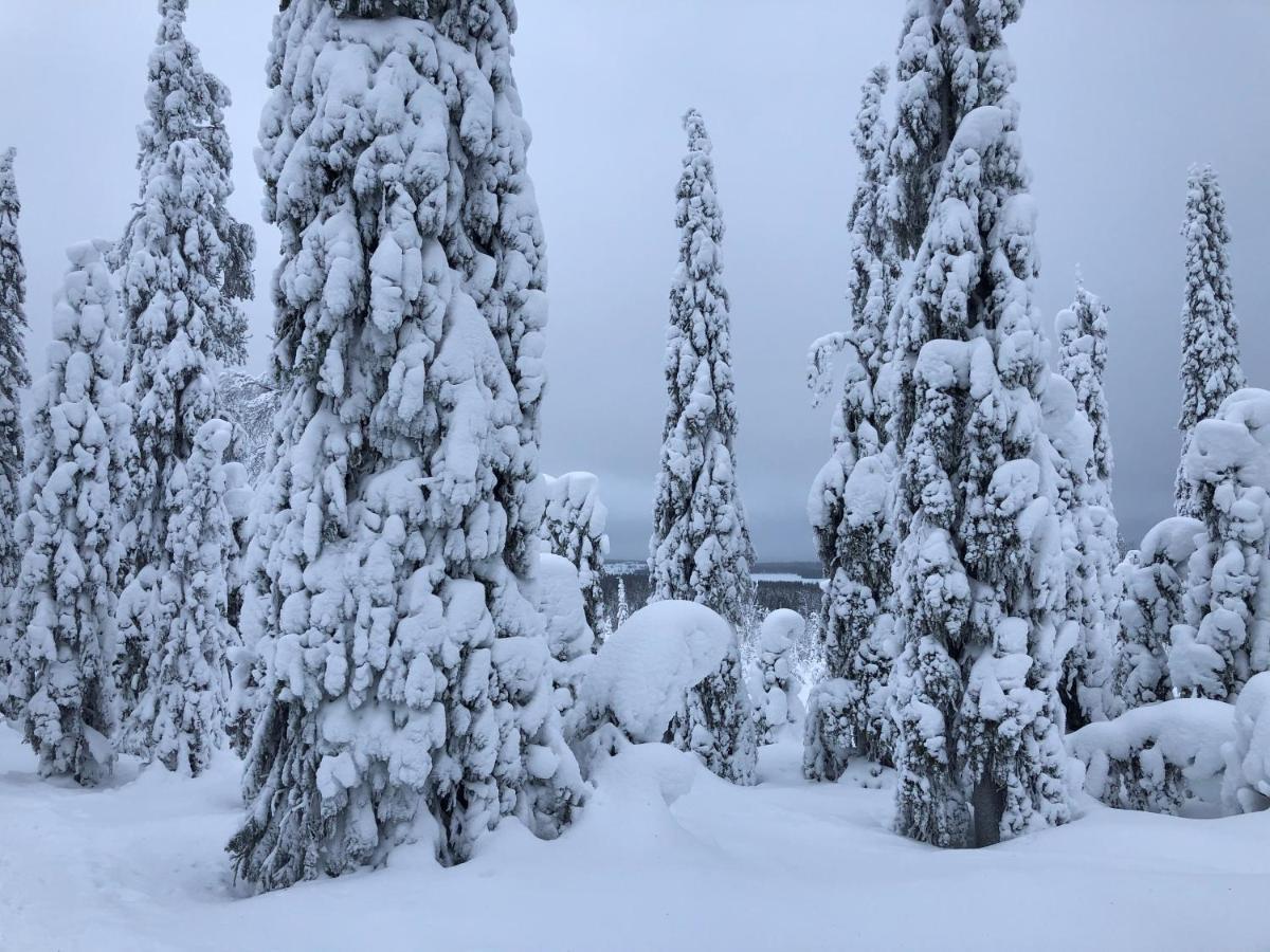 Kelokallas 2 Ruka Bagian luar foto